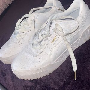 Pumas